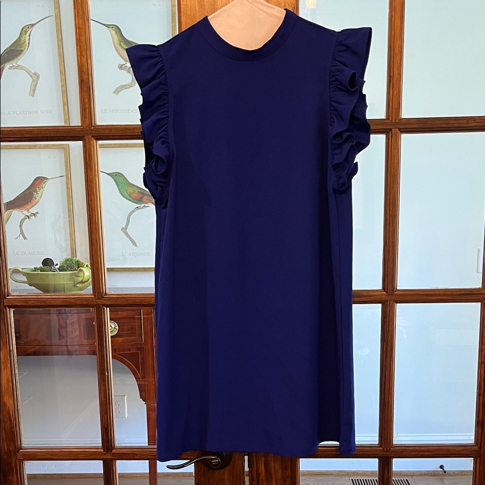 TCEC Royal Blue Ruffle Sleeve Mini Dress